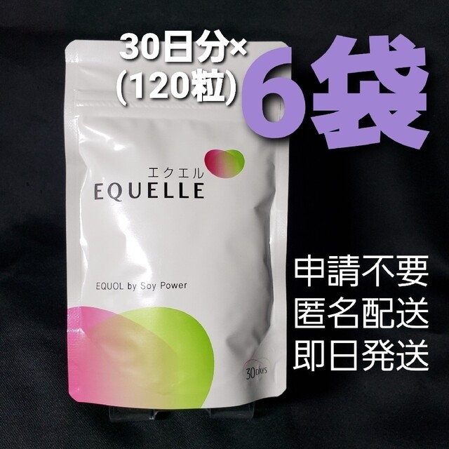 食品/飲料/酒エクエルパウチ 120粒30日分×6袋