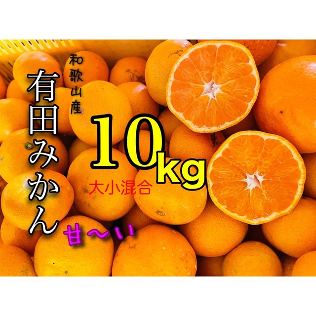 和歌山産有田みかん大小ランダム混合10キロ 残り僅か 食品/飲料/酒の食品(フルーツ)の商品写真