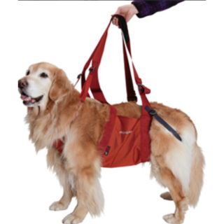 モンベル(mont bell)のmont-bell ドギーハーネス　モンベル　登山 大型犬 歩行補助　介護(犬)