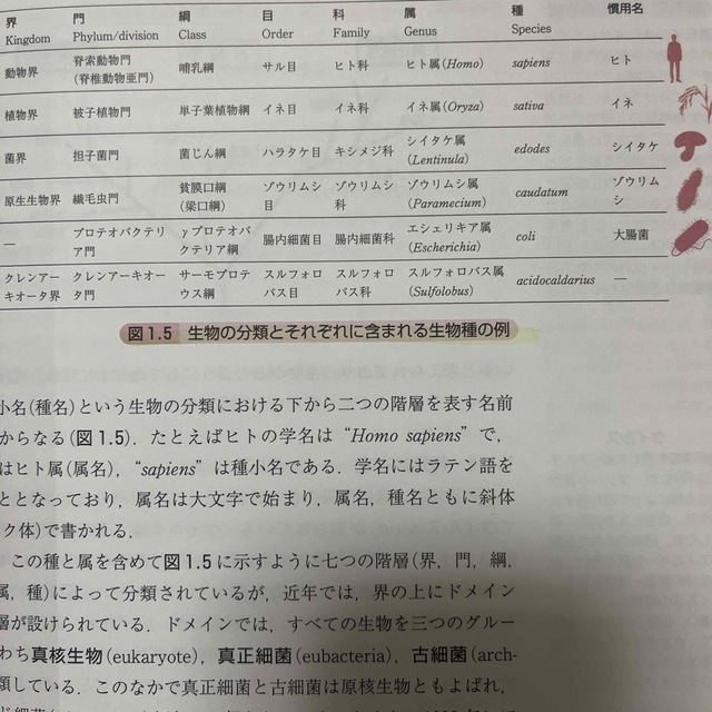 はじめて学ぶ生命科学の基礎 エンタメ/ホビーの本(科学/技術)の商品写真