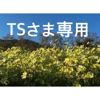 TSさま専用(ウイスキー)