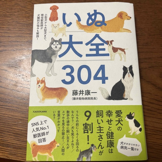 角川書店(カドカワショテン)のいぬ大全３０４ 【中古】小型犬から大型犬まで、現役獣医師が犬種別の悩みも解 エンタメ/ホビーの本(住まい/暮らし/子育て)の商品写真