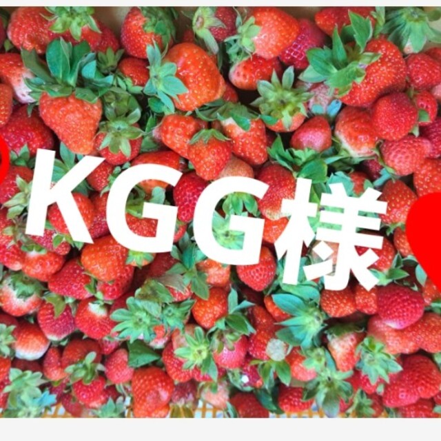 ❤️KGG様❤️送料ぶん300円 食品/飲料/酒の食品(フルーツ)の商品写真