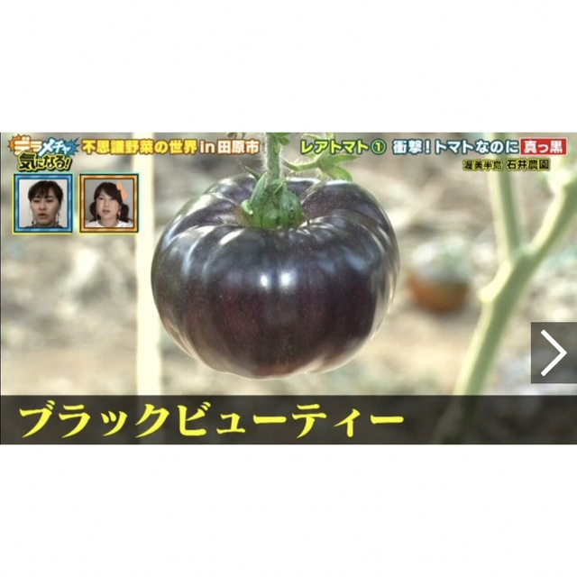 野菜の種　Black BeautyTomatoブラックビューティートマト　種 食品/飲料/酒の食品(野菜)の商品写真