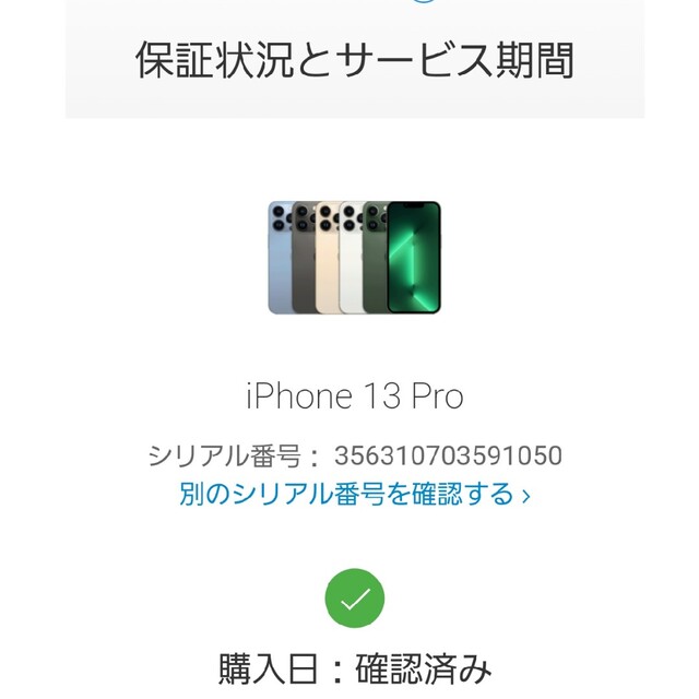 アップル iPhone13 Pro 256GB シルバー