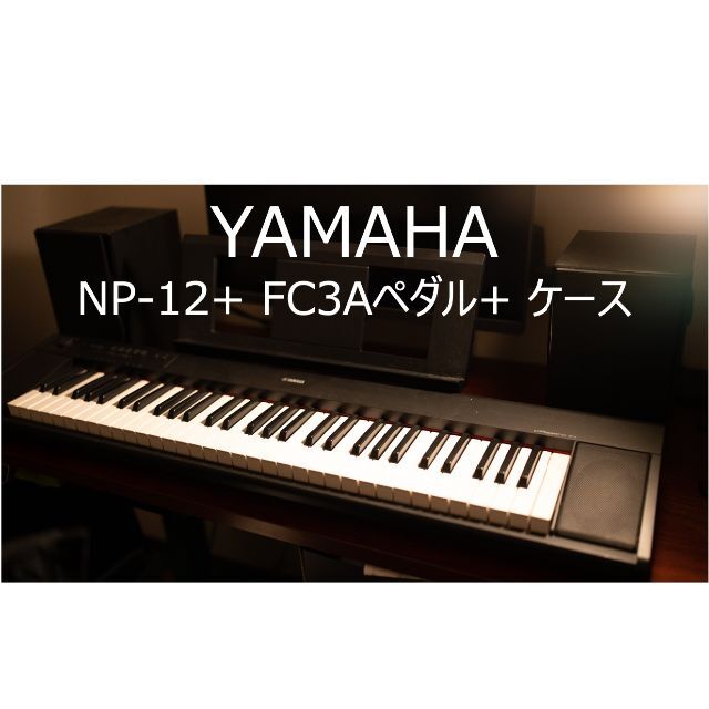 YAMAHA piaggero NP-12 + FC3A+ケースのサムネイル