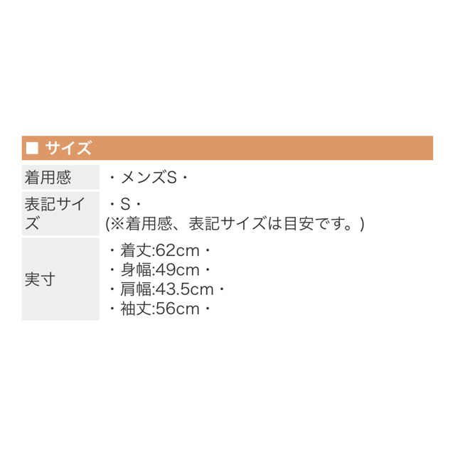 パタゴニア　シンチラ　スナップT 3