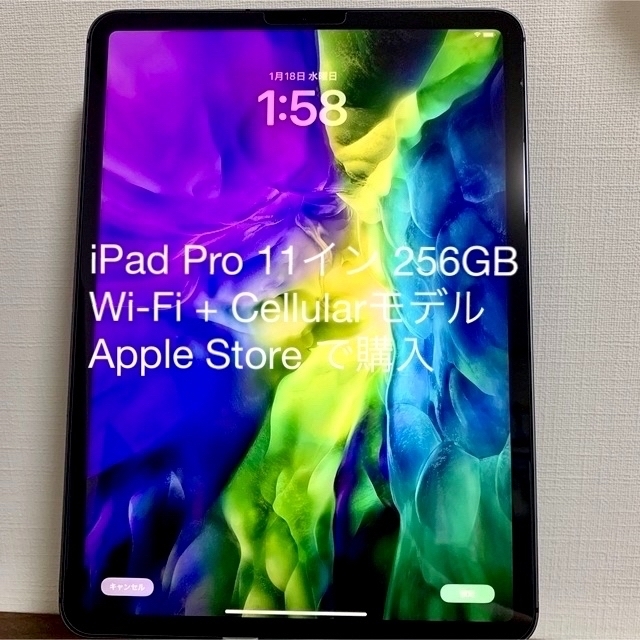 iPad Pro 11インチ 256GB Wi-Fi + Cellularモデル