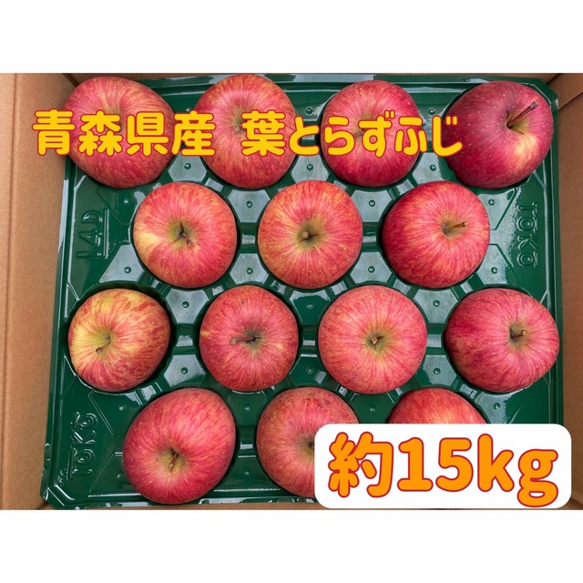 【家庭用】青森県産★葉とらずふじ約15kg★りんご