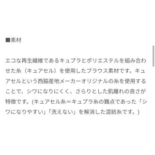 23区 - 匿名配送/23区/キュアセルツイル スタンドカラー ブラウスの ...