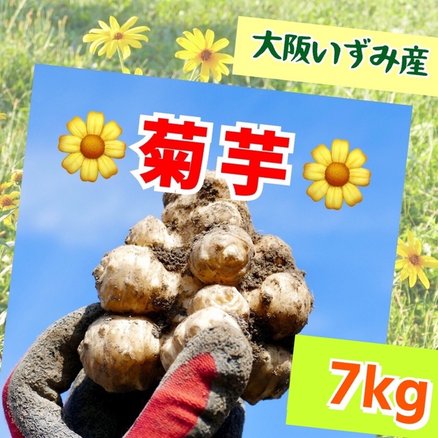 ❤️【産直大特価】白菊芋〜7.5kg（おまけ付） 食品/飲料/酒の食品(野菜)の商品写真