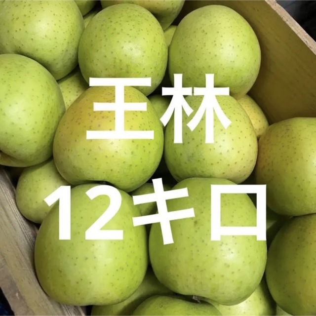 青森県産  黄王  りんご 家庭用 3kg  産地直送 リンゴ