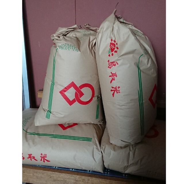 白米２０キロ令和４年(鳥取県産米)コシヒカリ 食品/飲料/酒の食品(米/穀物)の商品写真