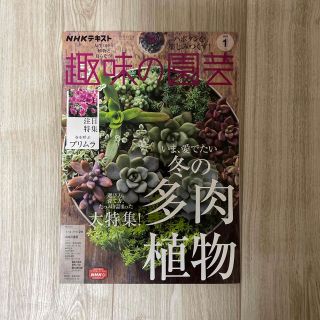 NHK 趣味の園芸 2023年 01月号(その他)