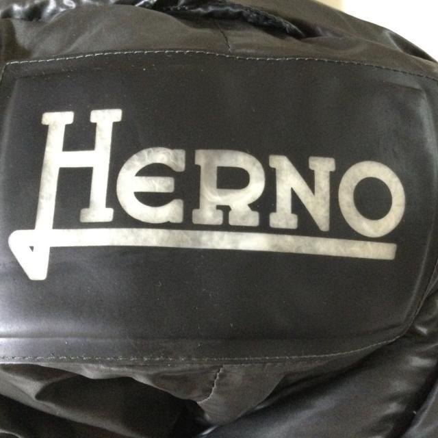 HERNO(ヘルノ)のヘルノ ダウンコート サイズ40 M美品  - レディースのジャケット/アウター(ダウンコート)の商品写真