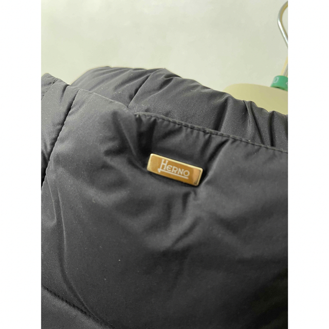 HERNO(ヘルノ)の新品　HERNO ヘルノ　コンビネーションコート　ダウンコート　40 ブラック レディースのジャケット/アウター(ダウンコート)の商品写真