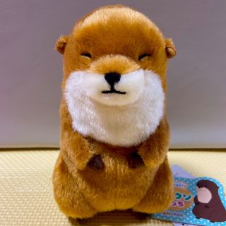 くったりカワウソたっち ライトブラウン ぬいぐるみ(キャラクターグッズ)