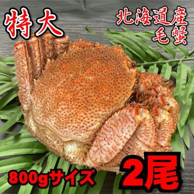 【特大】毛蟹 2尾（800gサイズ） 北海道産 ボイル 付け足 冷凍 お中元の通販 by 北海道直送！海の幸 北のグルメ's shop｜ラクマ