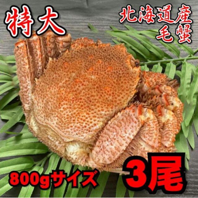 【特大】毛蟹　3尾（800ｇサイズ）　北海道産　ボイル　付け足　冷凍　お中元