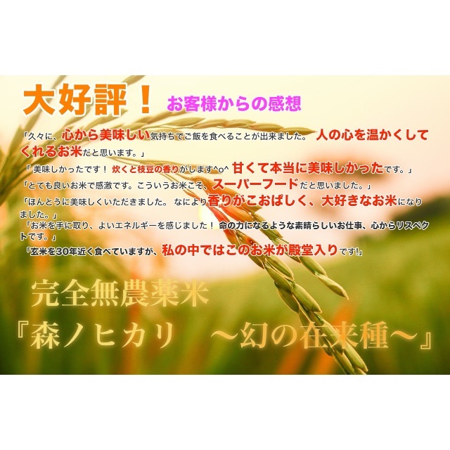 大好評！完全無農薬玄米『森ノヒカリ　～幻の在来種～』　10kg　送料無料　米/穀物