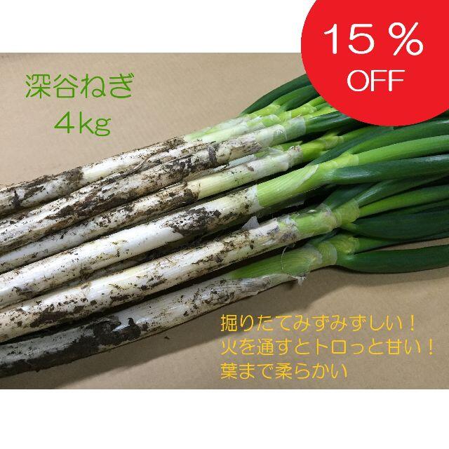 15%オフ!! 掘りたて瑞々しい深谷ねぎ 4kg 特別栽培 農家直送 食品/飲料/酒の食品(野菜)の商品写真