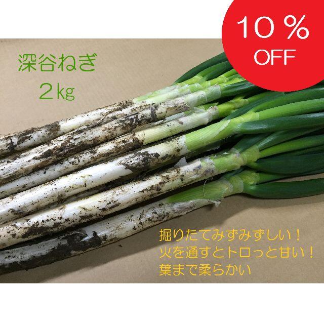 10％オフ！掘りたて瑞々しい深谷ねぎ 2kg 特別栽培 農家直送 食品/飲料/酒の食品(野菜)の商品写真