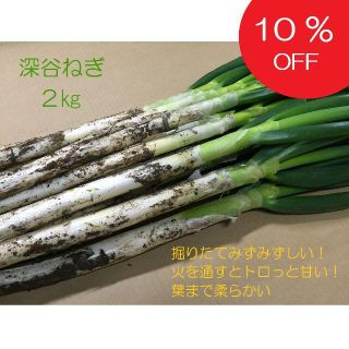 10％オフ！掘りたて瑞々しい深谷ねぎ 2kg 特別栽培 農家直送(野菜)