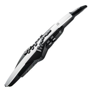 ローランド(Roland)の新品 Roland ローランド AE-20 エアロフォン Aerophone(その他)