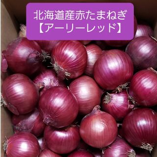 北海道産 赤玉ねぎ【アーリーレッド】Ｍサイズ 約５キロ(野菜)