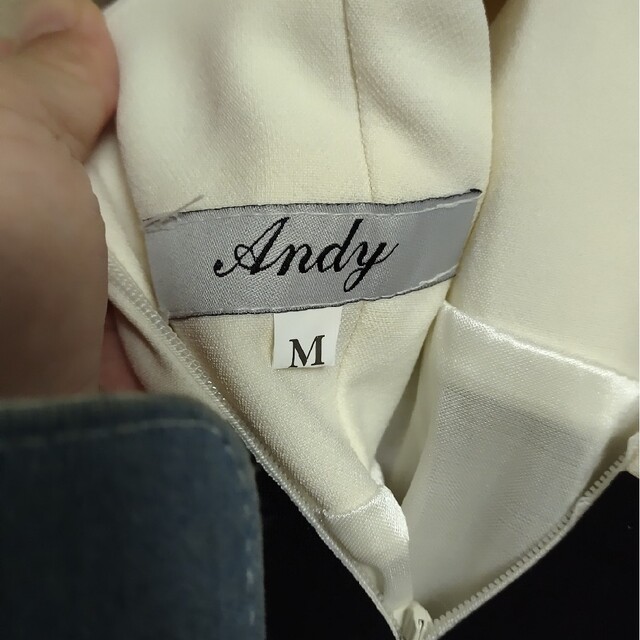 Andy(アンディ)のandy Msize レディースのレディース その他(その他)の商品写真