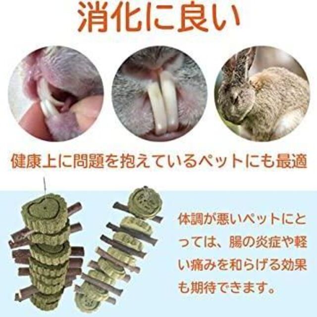 小動物の健康に❤️ハムスター おやつ うさぎ おもちゃ かじり木 デグー メンズのジャケット/アウター(ノーカラージャケット)の商品写真