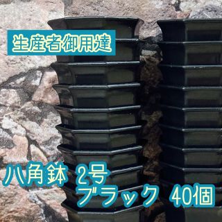 八角鉢 ◎2号◎黒 40個 アガベ 多肉植物 プラ鉢(プランター)