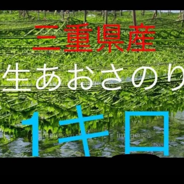 新物!!三重県産あおさのり