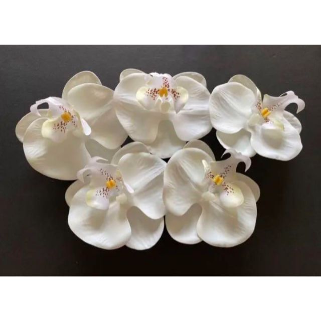ぴょんす様専用 金箔付きの通販 by BNB SHOP's shop|ラクマ