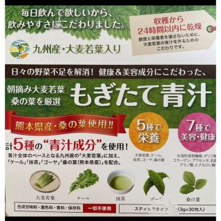 もぎたて青汁 お試し14包セット(青汁/ケール加工食品)