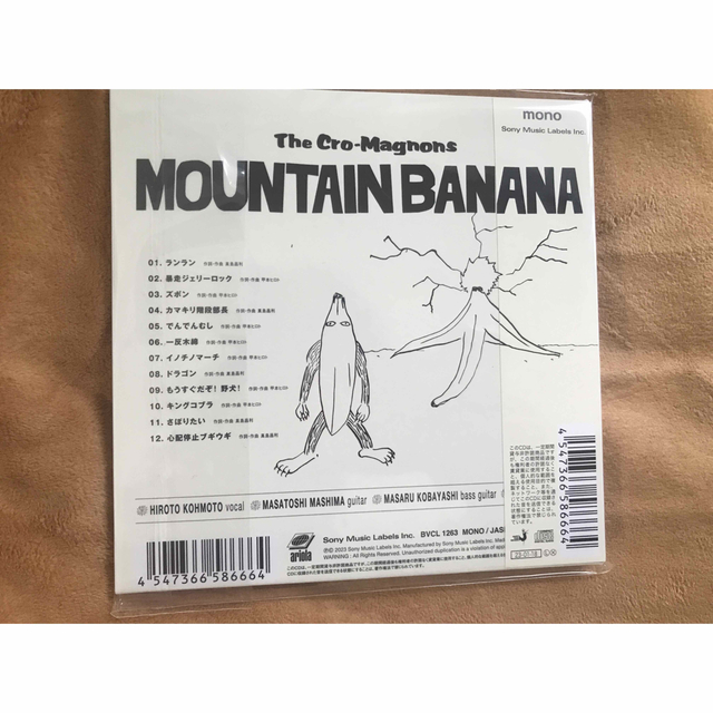 レコード　MOUNTAIN BANANA マウンテンバナナクロマニヨンズ　LP