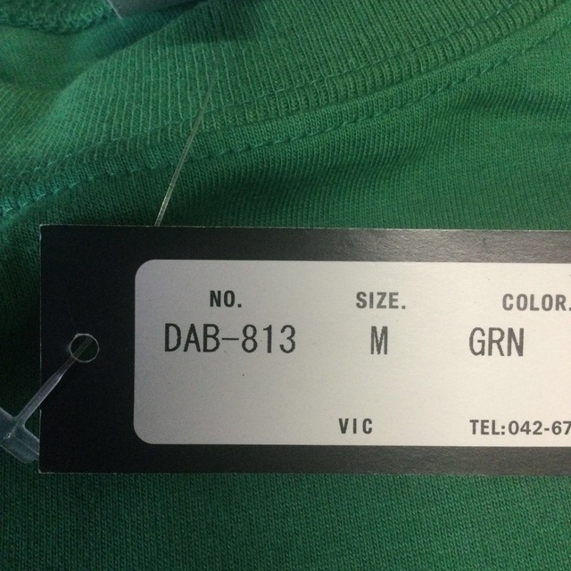 DalPonte(ダウポンチ)のダウポンチ DAB813 緑 プリントTシャツ メンズのトップス(Tシャツ/カットソー(半袖/袖なし))の商品写真