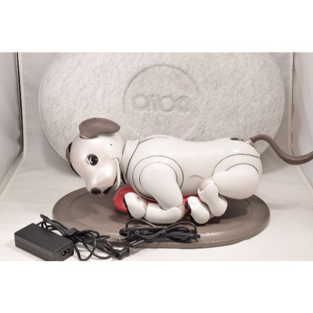 ソニー アイボ ERS-1000 AIBO 犬型 ロボット ペット SONY