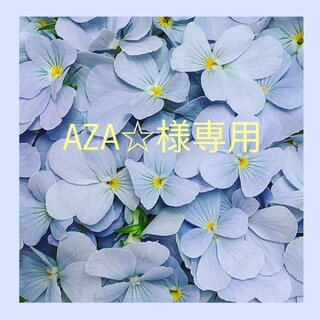 AZA☆様専用(その他)