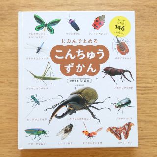 じぶんでよめる  こんちゅうずかん(絵本/児童書)