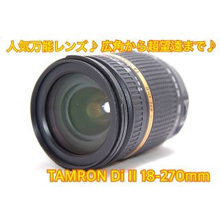 ❤️これ一本で近遠対応❤TAMRON 18-270mm❤キャノン用❤