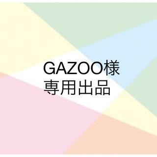 GAZOO様専用(その他)