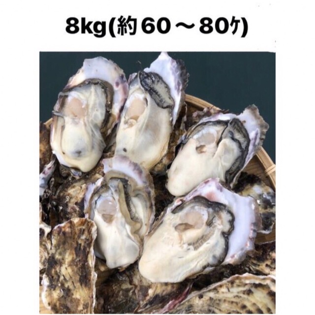 海鮮料理＜初出店価格＞三陸産殻付きプリプリ生牡蠣　生食可能　8kg 産地直送
