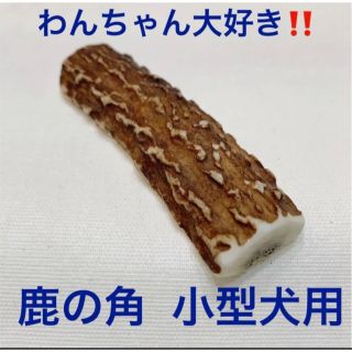 鹿の角(半割)　犬用　奈良県吉野産  デンタルケア(数量限定)(犬)