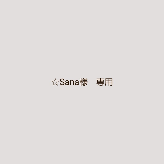 ☆Sana様　専用ページです | フリマアプリ ラクマ