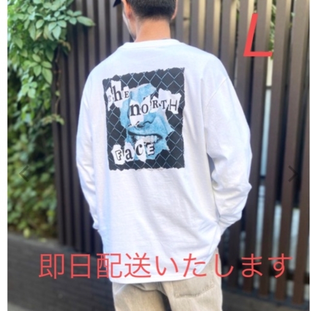 THE NORTH FACE(ザノースフェイス)のザ ノースフェイス ロゴ Tシャツ THE NORTH FACE tシャツ L メンズのトップス(Tシャツ/カットソー(七分/長袖))の商品写真