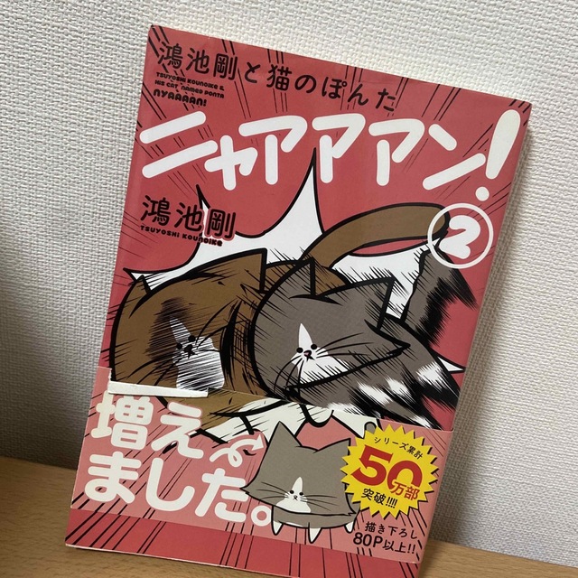 ニャアアン！　マンガ エンタメ/ホビーの漫画(その他)の商品写真