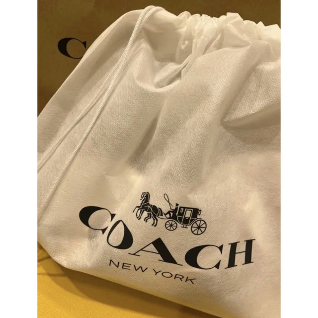 COACH×PEANUTS スヌーピーTシャツ日本サイズ M【新品】 stage