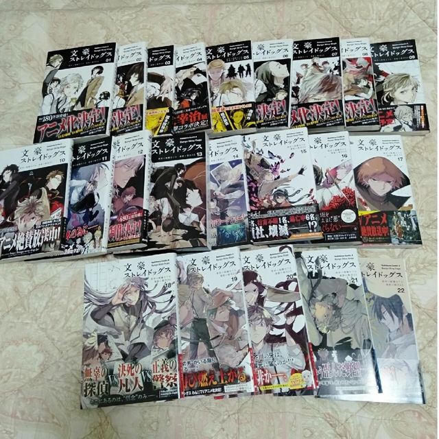 角川書店(カドカワショテン)の文豪ストレイドッグス1~22巻セット エンタメ/ホビーの漫画(青年漫画)の商品写真