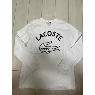 ラコステ(LACOSTE)のbeams別注LACOSTE ロンT(Tシャツ/カットソー(七分/長袖))